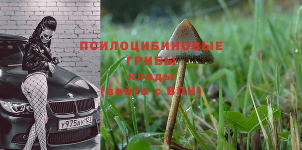 COCAINE Абдулино